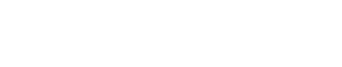 BCI MACH logo